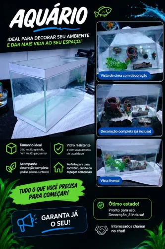 Aquário de Vidro com Decoração Completa - Apenas R$ 50,00!