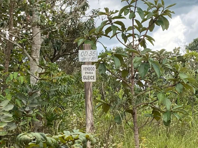 LOTE DE PONTA À VENDA EM ALEXÂNIA