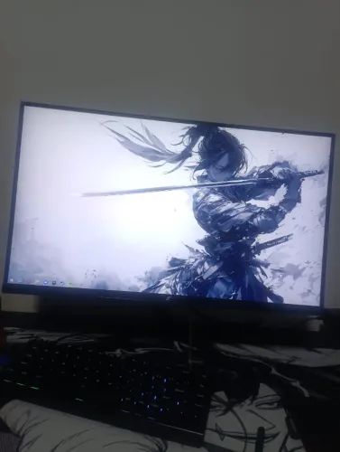 Monitor 300hz