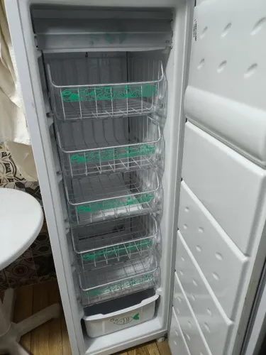 Freezer vertical consul