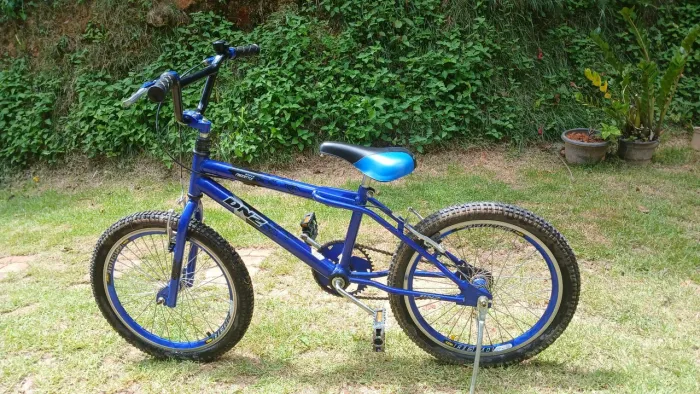 Bicicleta Infantil Aro 20