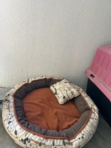 Caminha - tamanho médio 