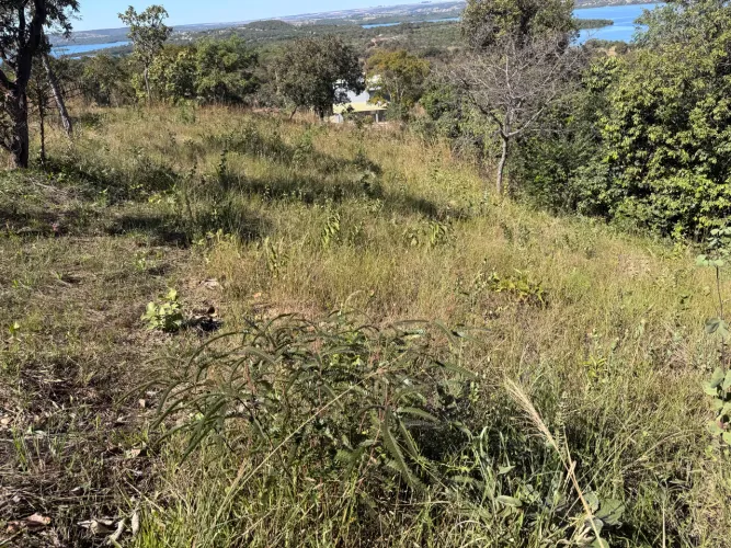 Vendo Ágio Lote Corumbá