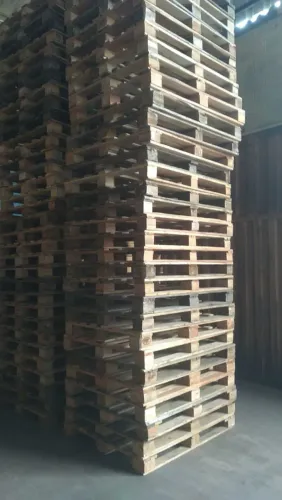 Paletes descartáveis e Chapatex