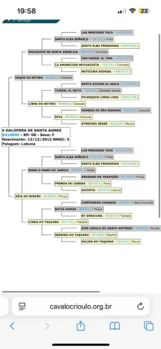 Égua e Potro