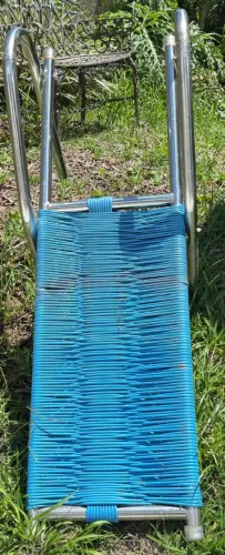 Esteira para PETs em Piscina 