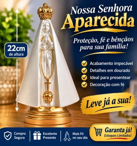 Nossa Senhora Aparecida - 22 cm de fé e beleza!