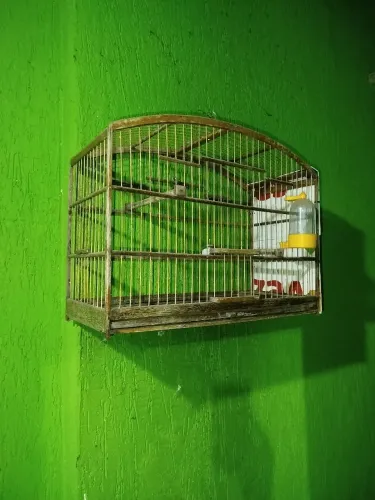 Vendo gaiolas para pássaro grande