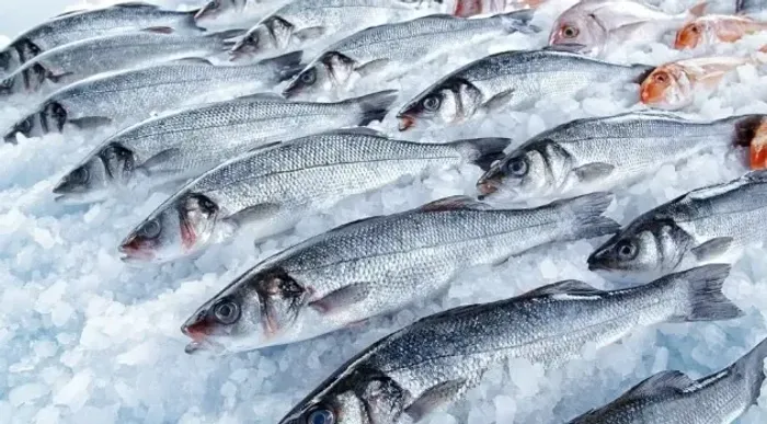 Peixe fresco