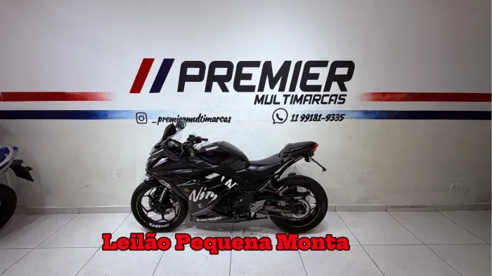 Kawasaki Ninja 300