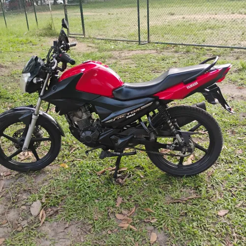 Factor 150 Ed 20/21