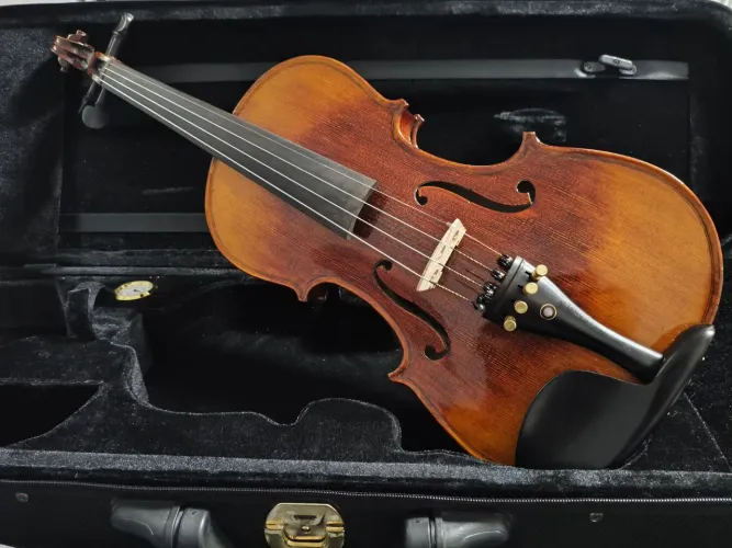 Violino profissional Eagle VK544 tampo inteirisso