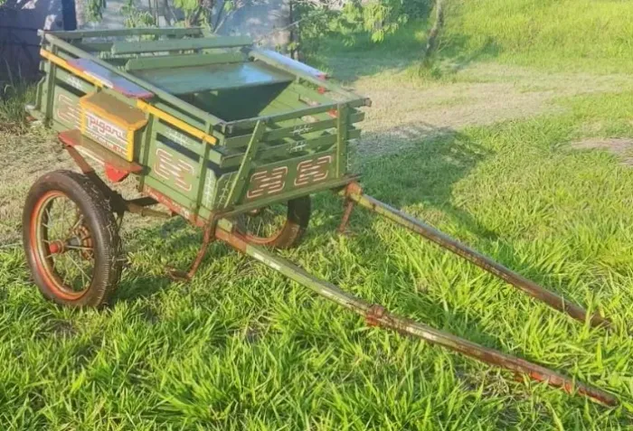 Carroça Pigari com freio