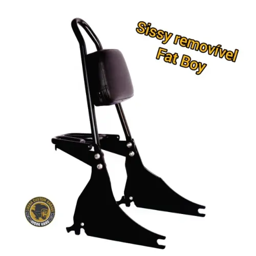 Sissy Bar Removível Hd Fat Boy A Partir 2018