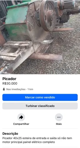 Picador
