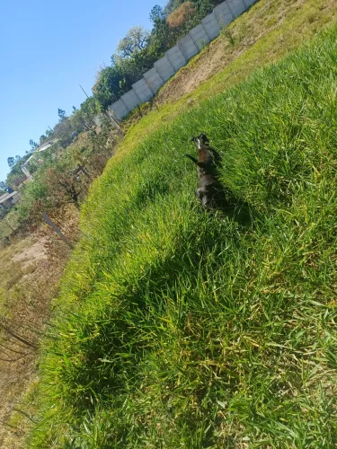 Vendo de terreno para chácara em aluminio Sp