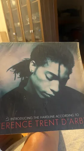 Disco Vonil LP Terence Trend Darby