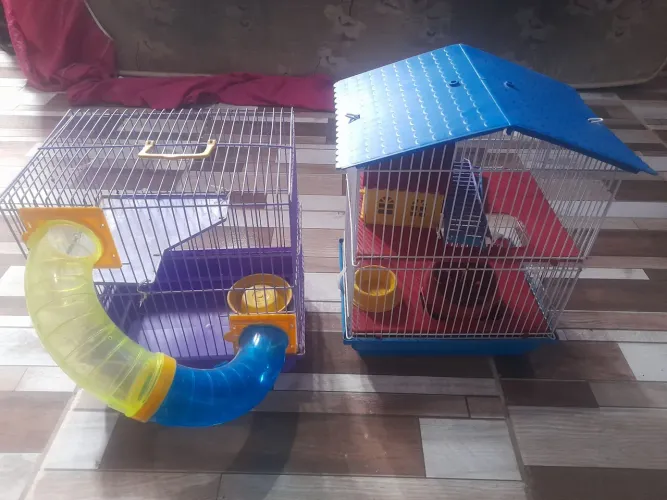 Vendo 2 gaiola de hamster tem conversar no valor