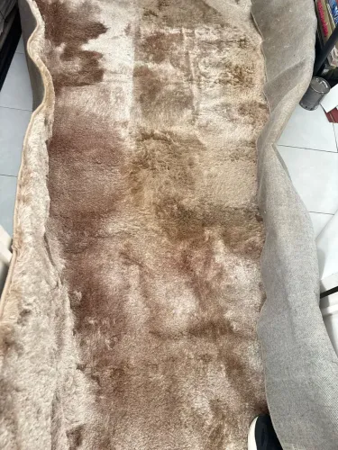 Tapete para sala