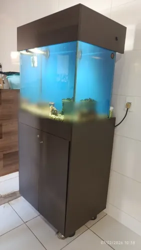 AQUÁRIO 200L COM MÓVEL - EM FUNCIONAMENTO