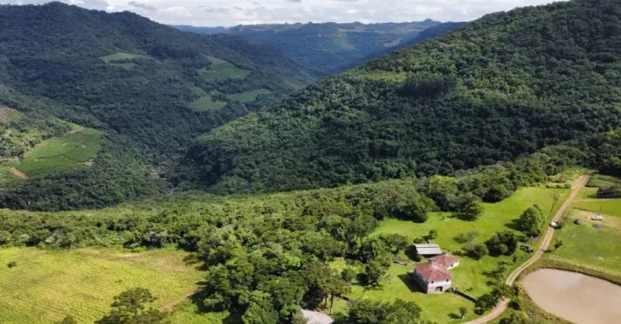7 HECTARES EM FLORES DA CUNHA | CASARÃO HISTÓRICO | CACHOEIRAS E NATUREZA EXUBERANTE