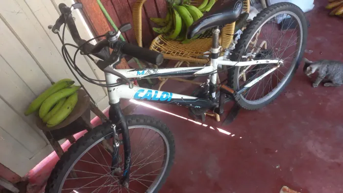 bicicleta caloi