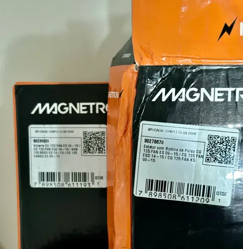 MAGNETO E ESTATOR FAN 2009 ES (Leia a descrição)