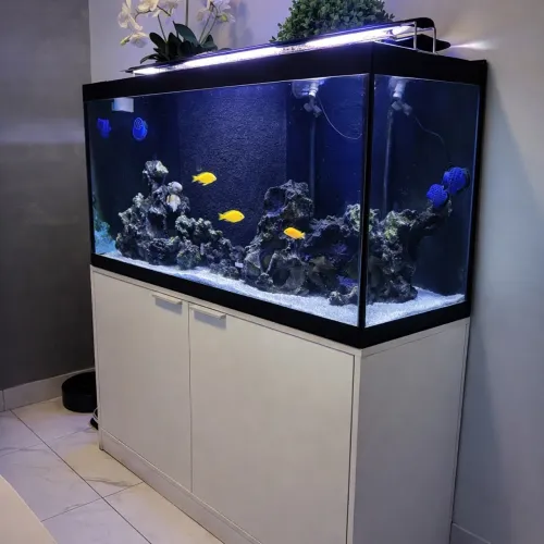 Aquário completo
