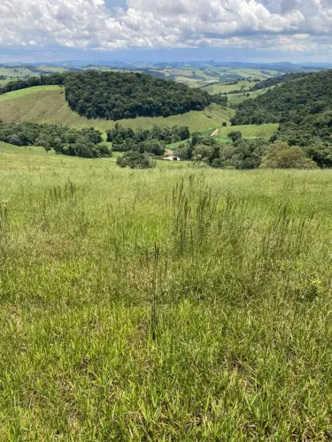 Sitio 43 Hectares Dupla Aptidão <br>Espírito Santo Do Dourado MG