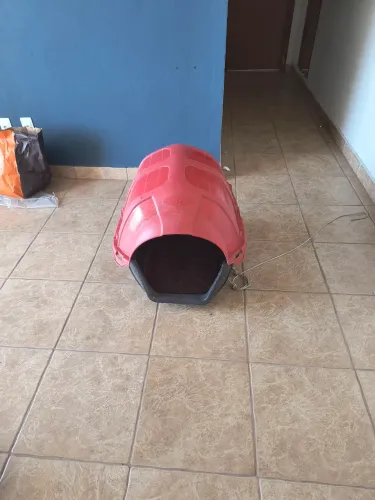 Vendo casinha de cachorro