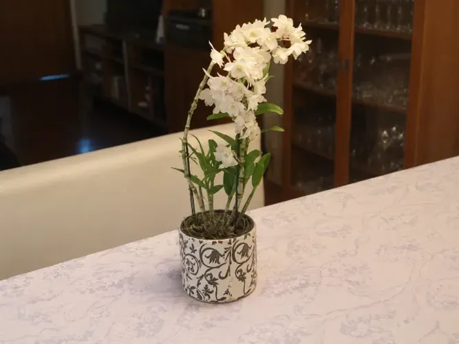 Vaso esmaltado para flores