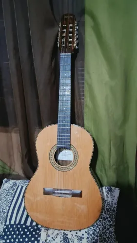 Vende-se viola caipira elétrica