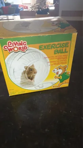 Bola de Exercício Hamster