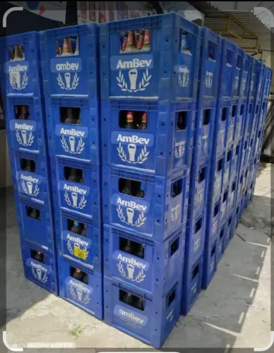 Caixa de cracudinha com casco