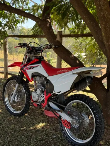 CRF 230F 2019