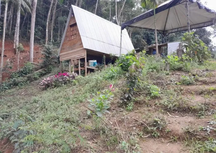 Pequeno chalé com lagoa 