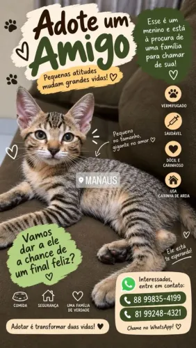 ADOTE O GATINHO