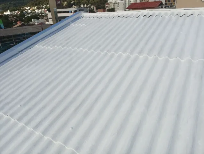Profissional dos telhados 