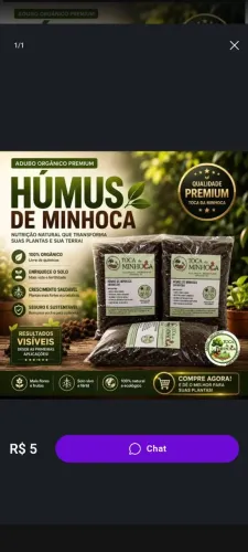 Húmus