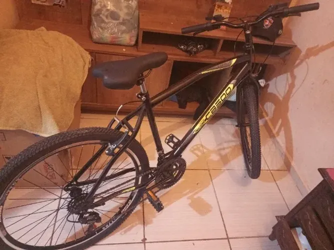 Bicicleta