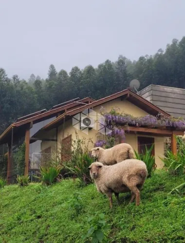 Viva o melhor do campo com conforto e estilo - Sítio à venda em Morro Reuter