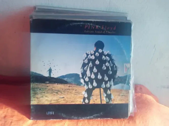 16 disco de vinil ( lote)  Pink Floyd 