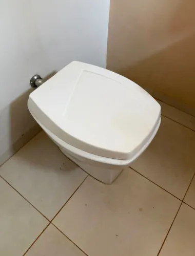Vaso sanitário (usado)