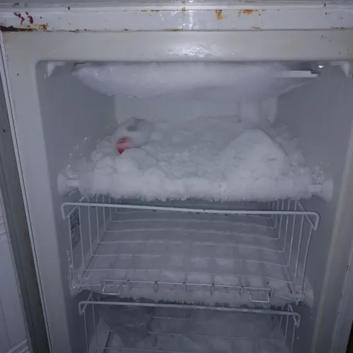 Freezer