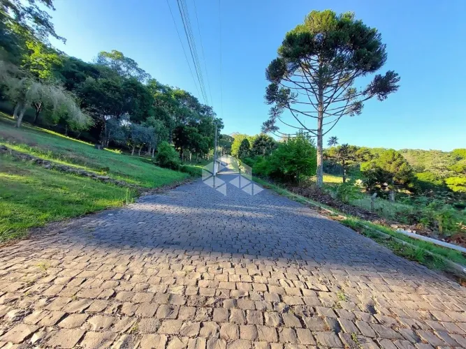 Área de terra no Vale dos Vinhedos
