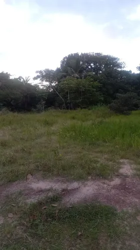Vende-se sitio próximo a cidade de Salinopolis PA