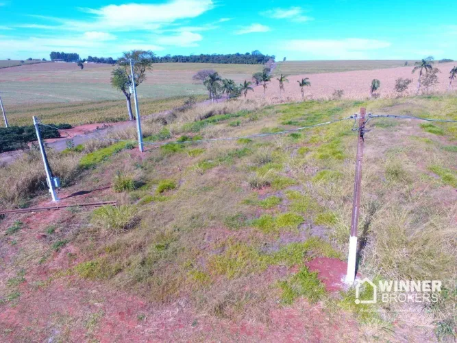 Chácara à venda, 10000 m² por R$ 395.000,00 - Jardim Primavera - Sabáudia/PR