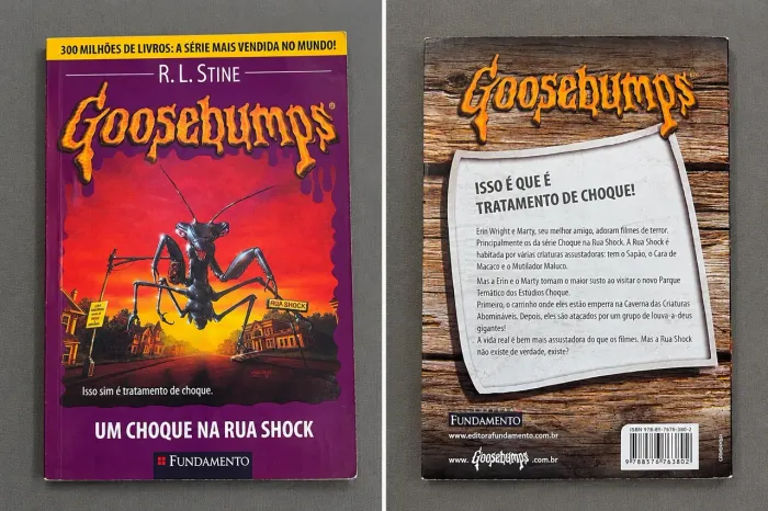 Goosebumps, Um choque na rua de shock