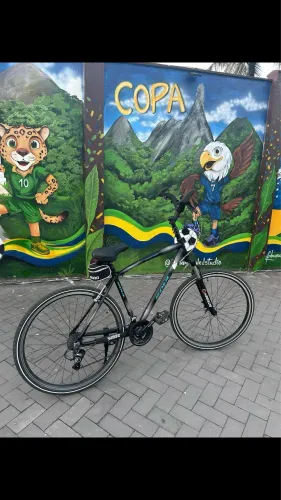 Bike soul 700
