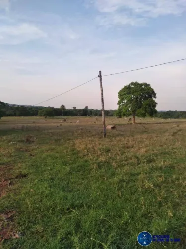 Fazenda Dupla Aptidão à Venda  32,5 Alqueires em Montes Claros, Goiás
